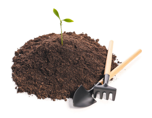 Soil and gardening tools on white background - Photo, Image
