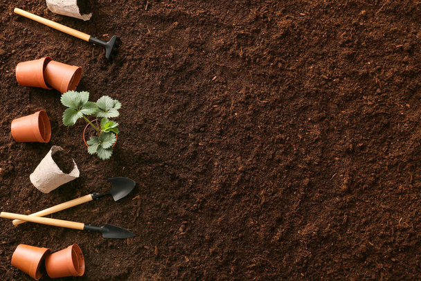Комплект садовых инструментов на почве
 - Фото, изображение