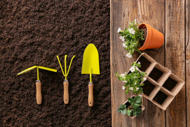Conjunto de ferramentas de jardinagem no solo
 - Foto, Imagem