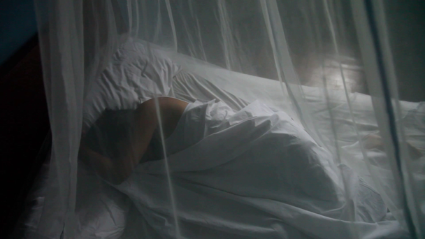 Женщина лежит под противомоскитной сетью
 - Кадры, видео