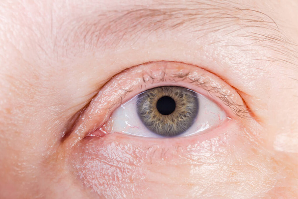 Otwórz lewe oko człowieka z szarą tęczówką z niewielkimi ilościami żółtego koloru i niektórych naczyń krwionośnych na twardówce zbliżenie - Zdjęcie, obraz