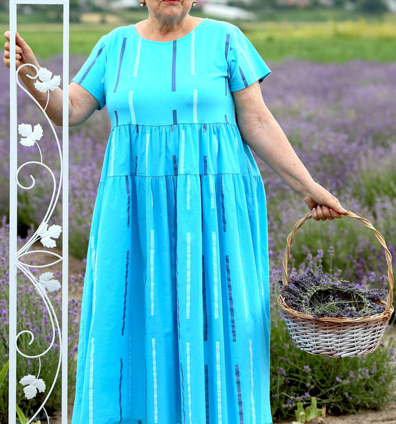 Μια ηλικιωμένη λευκή γυναίκα με μπλε φόρεμα σε ένα χωράφι με λεβάντα κρατά ένα καλάθι με λουλούδια λεβάντας. - Φωτογραφία, εικόνα