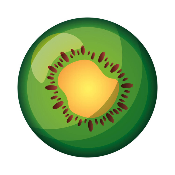 Isolated kiwi fruit vector design - Vector, imagen
