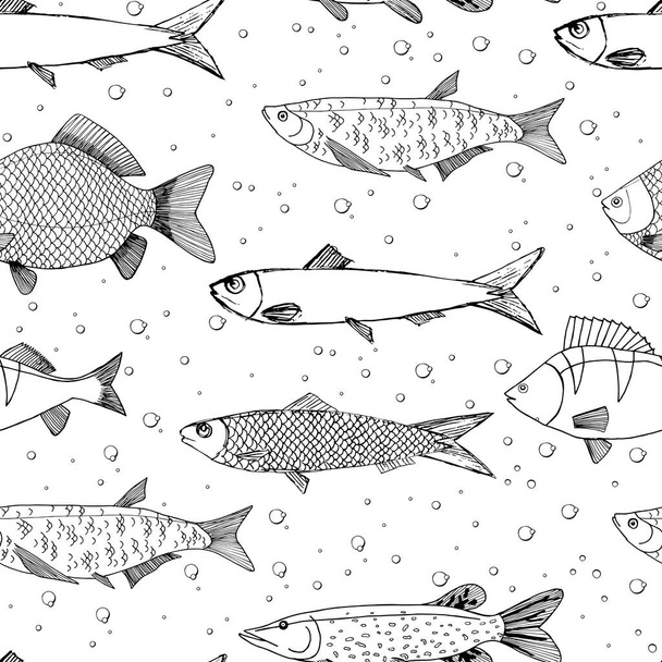 Seamless vector sketches of sea and river fish animal. Pike, carp, perch, sardine isolated fish sketch, sport or fish market theme. Prints for clothing, textiles, paper and web. - Vector, afbeelding