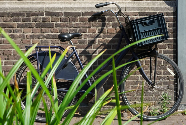 black classical Bicycle on red brick  Wall background. green plants near european house. Haag, Netherlands. - Foto, Imagem