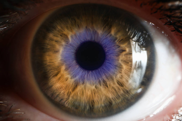 close-up shot van een menselijk oog - Foto, afbeelding