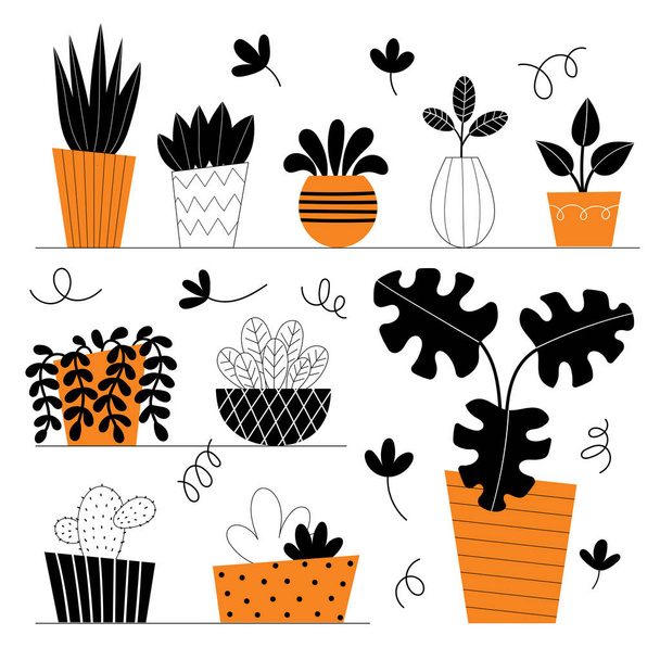 Set of ten vector indoor plants. Potted flowers on shelves. Stylized home plants. Home decor and interior. Succulents, monstera, cacti. Illustration isolated on white background. - Vector, afbeelding