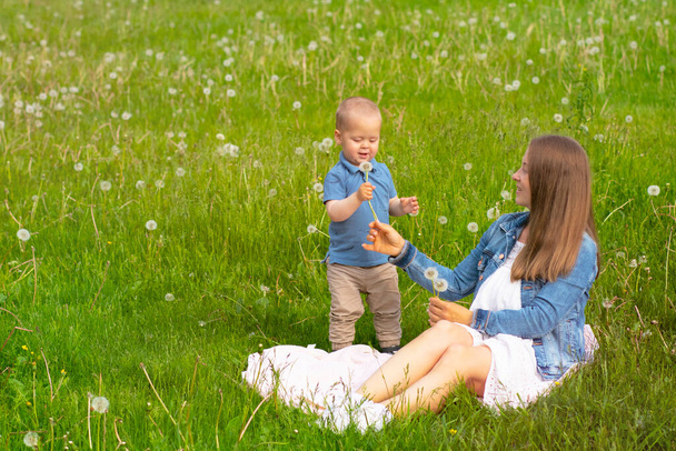 Happy mom with her son are playing in the park on green grass. Little boy and woman blow fluffy dandelions. - Fotoğraf, Görsel