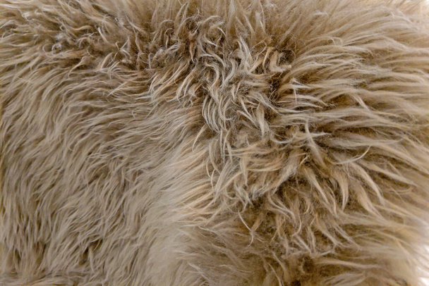 Gran alfombra gris hecha de lana artificial de cerca. Enfoque selectivo
. - Foto, imagen