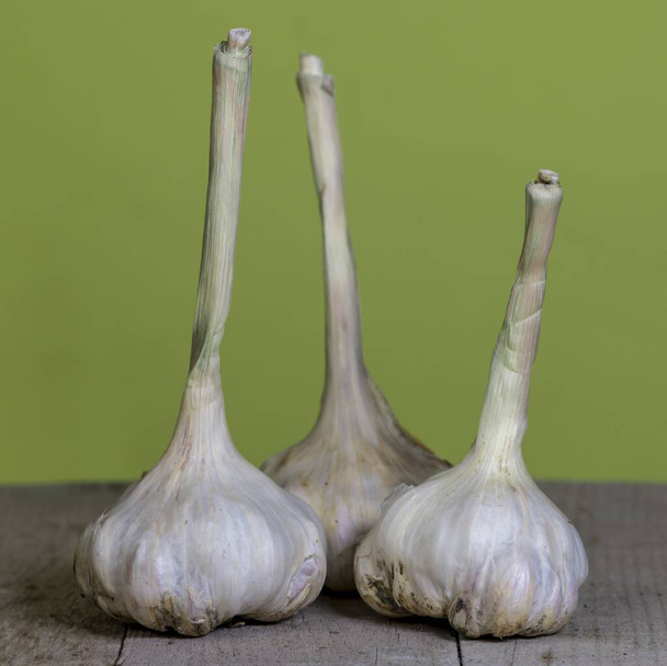 A closeup shot of three garlic on a surface with a green background - Fotoğraf, Görsel