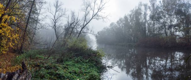 Panorama spokojnej rzeki w mglistym lesie listopadowym. Mgła wisząca nad korytem rzeki i drzewami. - Zdjęcie, obraz