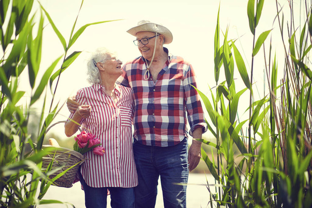 Loving  senior man and woman goes on the pond at picnic. Happy senior people at picnic. - Foto, Bild