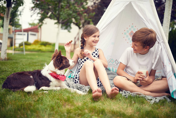  Smiling kids playing at backyard with dog in teepee and eats cookies. - Foto, immagini