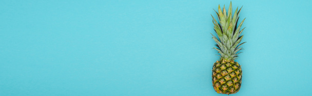 вид сверху на спелый ананас на голубом фоне, панорамный снимок
 - Фото, изображение