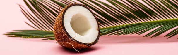 緑のヤシの葉とピンクの背景の新鮮なココナッツの半分パノラマショット - 写真・画像