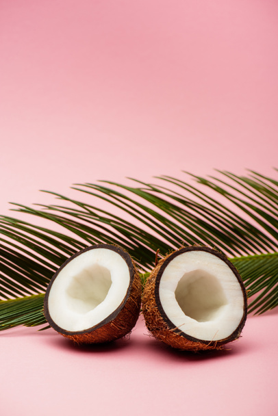green palm leaf and fresh coconut halves on pink background - Fotó, kép