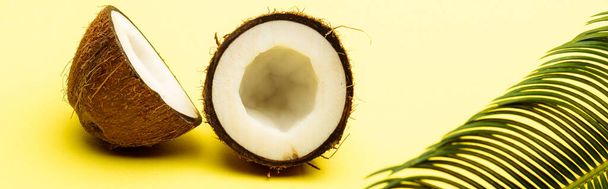 heerlijke zoete kokosnoot en palmblad op gele achtergrond, panoramisch schot - Foto, afbeelding