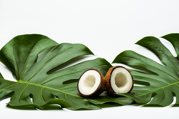 πράσινα φύλλα φοίνικα και μισά καρύδας σε λευκό φόντο - Φωτογραφία, εικόνα