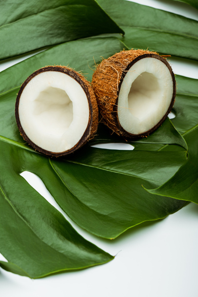 green palm leaves and coconut halves on white background - Foto, afbeelding