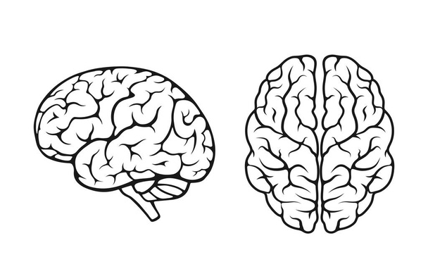 人間の脳のアイコンセット。サイドとトップビュー。隔離されたベクトルマインド心理学神経学のシンボル - ベクター画像