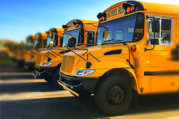 Vista de ángulo bajo de la parte delantera de los autobuses escolares públicos amarillos estacionados en una fila vista desde el lado del conductor
 - Foto, imagen