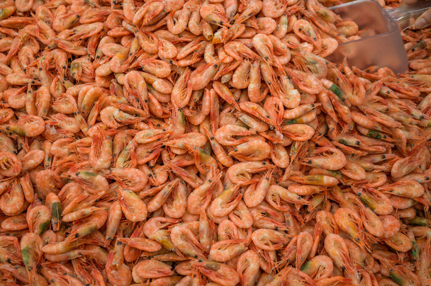 black sea prawns in a supermarket freezer - Photo, Image