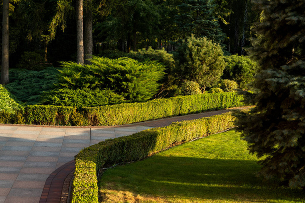 каменная гранитная дорожка в ландшафтном дизайне в окружении кустов и кустарников с еловыми деревьями и деревьями
 - Фото, изображение