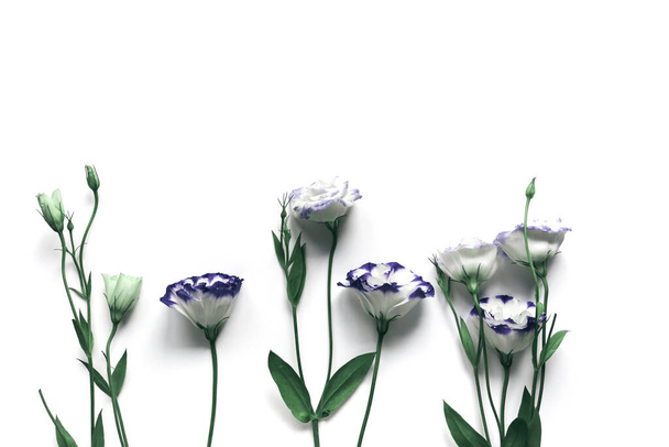 Beautiful eustoma flowers on white background . Minimal style composition. Nature backdrop for seasonal cards, blogs, web design. Top view, copy space. Flat lay - 写真・画像