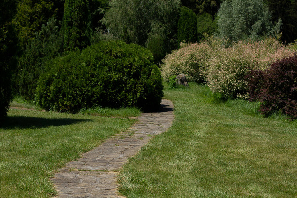 paved walkway in Italian park garden - Fotoğraf, Görsel