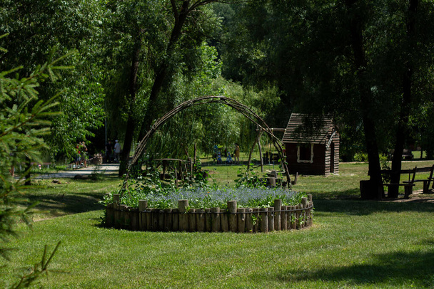 beautiful flowerbed in summer park - Valokuva, kuva
