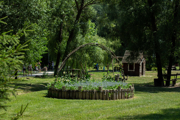 beautiful flowerbed in summer park - Foto, afbeelding