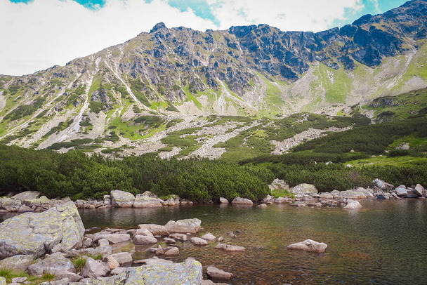 Пейзаж в горах Татры в солнечный день с большим количеством зелени и зеркального пруда. Долина пяти прудов в Польше
. - Фото, изображение