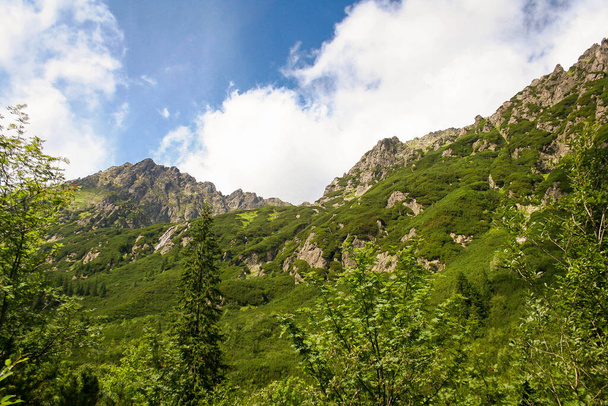 Вид на гірський ландшафт, Національний парк Татра, Польща. Високі татри, . - Фото, зображення