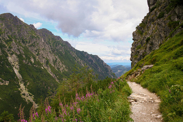 Vistas a la montaña en Polonia. Montañas Tatra paisaje. Valle en las montañas de Tatra, Polonia
 - Foto, Imagen