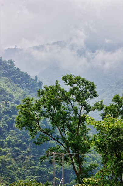 A hegy tetején, Rishikesh-ben, az indiai Himalája területén felhő borította. - Fotó, kép