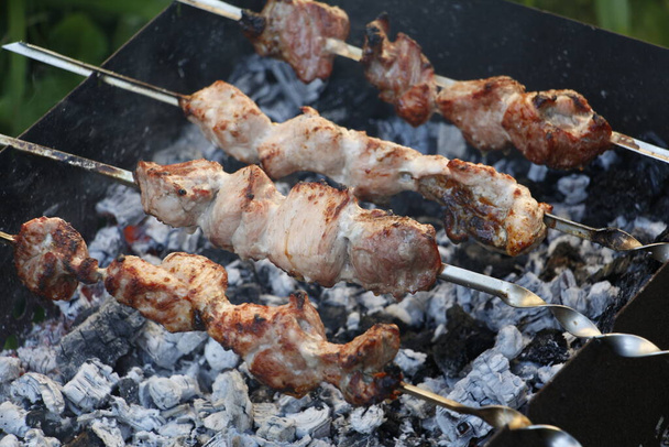 Cooking barbecue skewers. Marinated kebab is grilled on charcoal. Shish kebab barbecue was made of lamb, pork, beef, chicken. Roast beef skewers on barbecue grill. Skewers on skewers. - Φωτογραφία, εικόνα