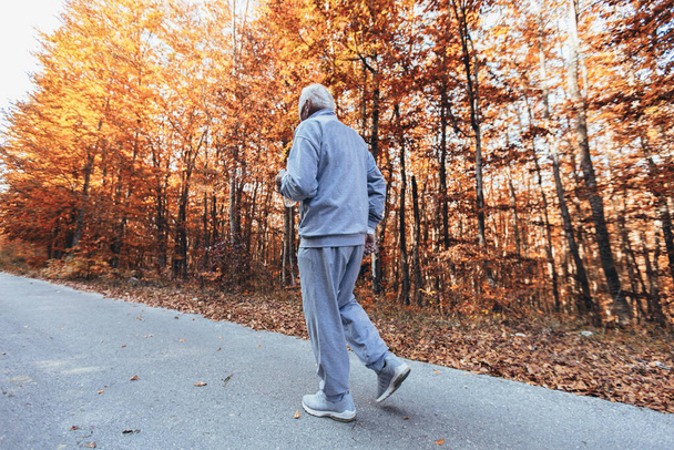 自然界の上級ランナー。朝のワークアウト中に森の中を走る高齢者のスポーティな男。健康的でアクティブなライフスタイルをあらゆる年齢概念で - 写真・画像