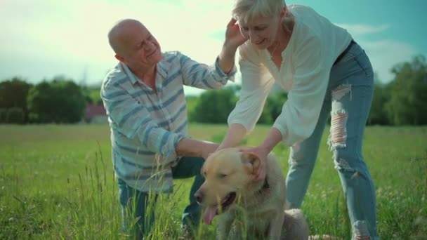 happy senior couple play with labrador retriever dog in sunny summer park - Кадры, видео