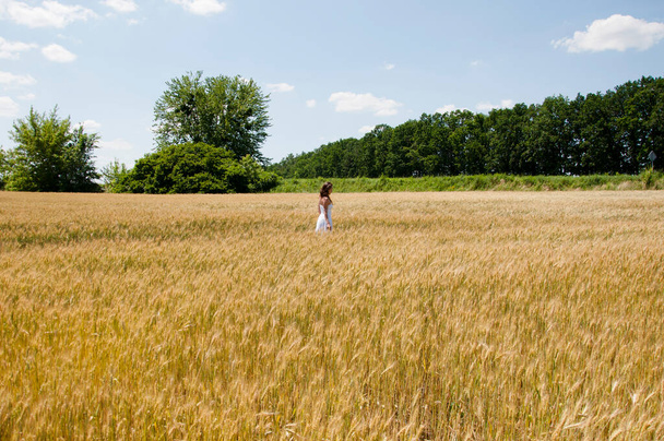 小麦畑を一人で歩いている女性です。ライフィールドの美しさ。牧草地を一人で歩く美しい女性。若い女性が日の出と谷に立っている。日没時にスパイクレットを歩く女性。どこかへ. - 写真・画像