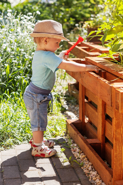 Cute little baby boy wearing lovely hat is  gardening by red baby rake tomato plant at wooden raised flower bed. Vertically. - Φωτογραφία, εικόνα