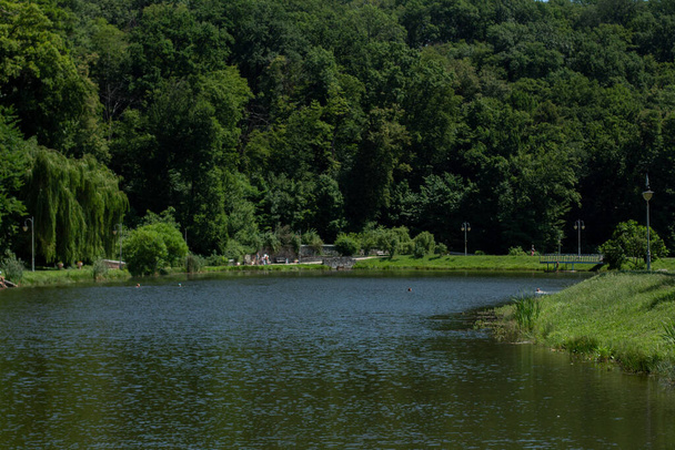 a large beautiful lake with green landscape - Фото, изображение