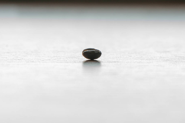 Outstanding solo roasted coffee bean isolated on the bright surface and gradient background - Photo, Image