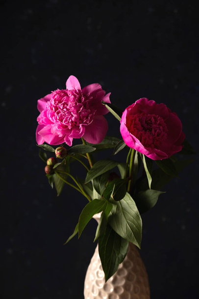Peonie rosa brillante in uno stile minimal scuro. - Foto, immagini