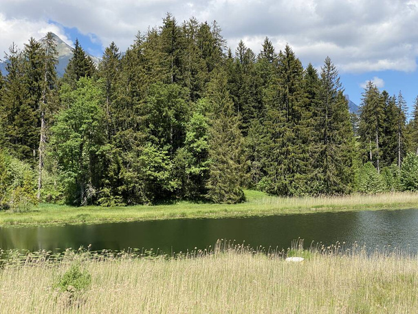 Le petit lac Schwendisee (Hinter Schwendisee) dans la région d'Obertoggenburg, Wildhaus - Canton de Saint-Gall, Suisse (Kanton St. Gallen, Schweiz) - Photo, image
