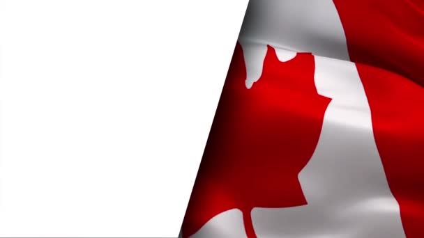 Canadian flag video waving in wind half white background for text.Realistic Canadian Toronto Flag background. Canada Flag Looping Closeup footage.Canada North America country flags video for film,news - Footage, Video