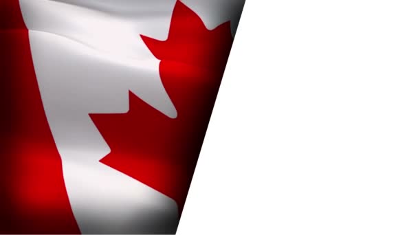 Канадский флаг размахивая в ветровом видео кадры Full HD наполовину белый фон. Съемка Canada Fleoping Cup 1080p 1920X1080. День Канады флаг Северной Америки - Кадры, видео