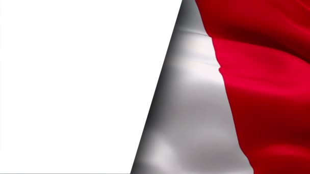Французский флаг, размахивающий в ветровом видео Full HD наполовину белый фон. Съемка в формате 1080р 1920х1080. День Франции Флаг Европы - Кадры, видео