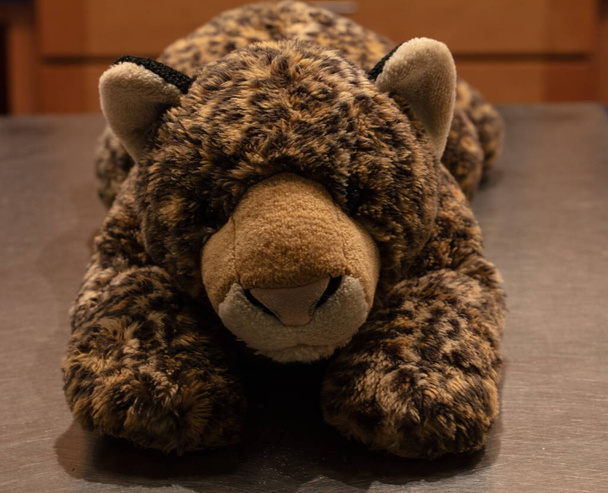 stuffed animal is waiting for you to come home - Photo, Image