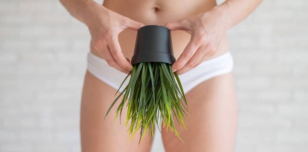 Bikini area depilation. Advertising Brazilian laser bikini line hair removal. A woman in white underwear is holding a potted plant. Epilation of vegetation in the intimate zone. - Photo, Image