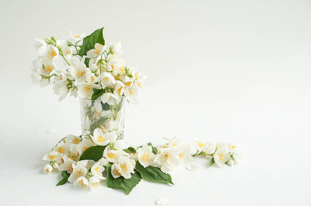 Jasmine flowers in a glass against a light background - Foto, afbeelding